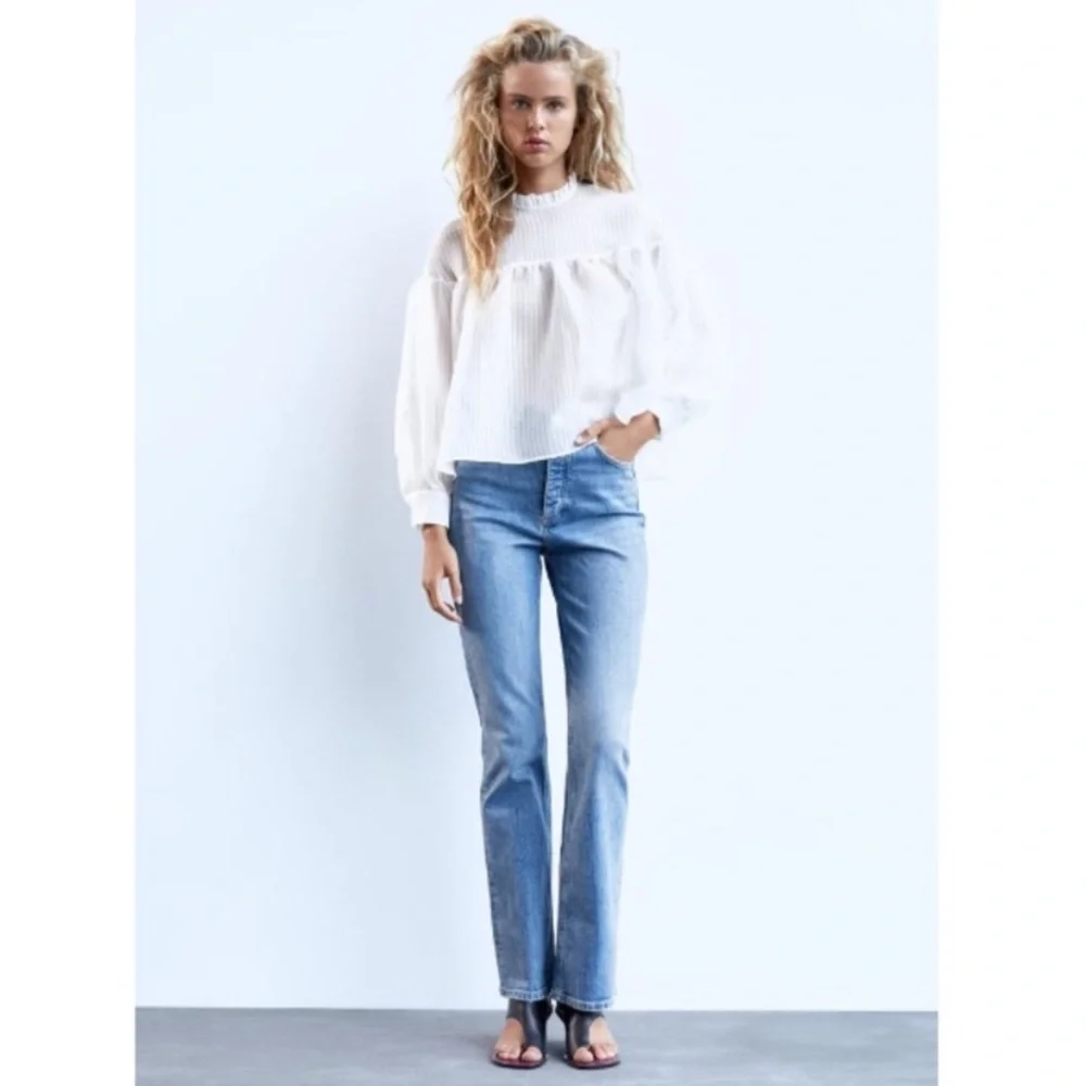 Zara Striped Ruffle Neck Organza Blouse